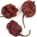 Carolina Reaper